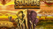 Игровой автомат Stampede