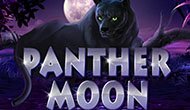 Игровой автомат Panther Moon