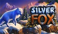 Игровой автомат Silver Fox